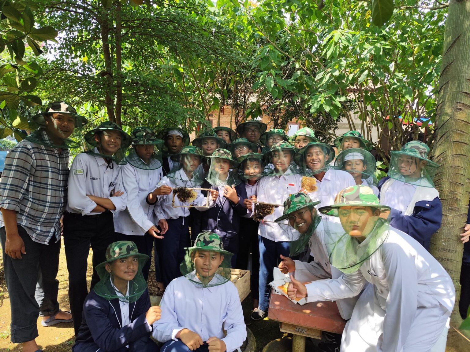 Serunya Belajar Lebah Madu