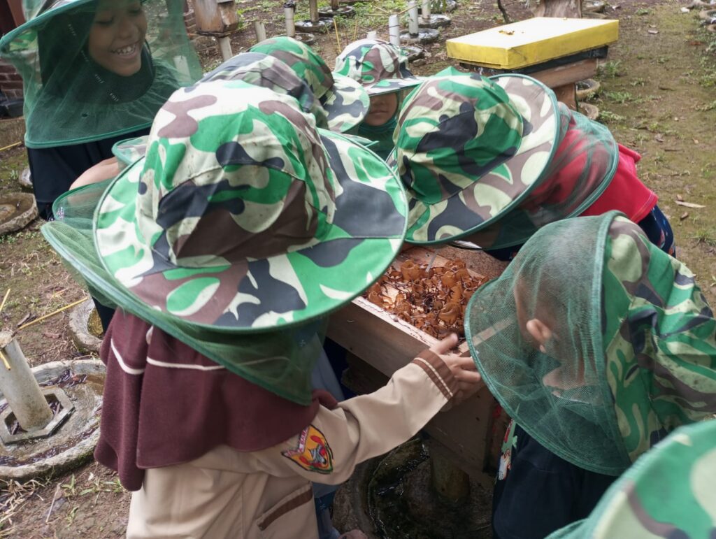 Pengenalan Lebah Madu Sejak Dini